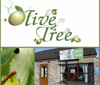 Olive Tree