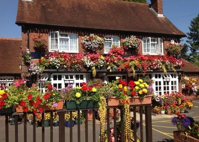 The Golden Lion
