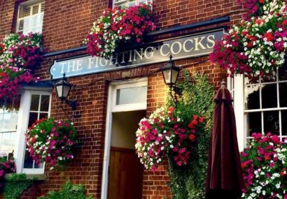 The Fighting Cocks