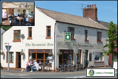 The Sycamore Tree