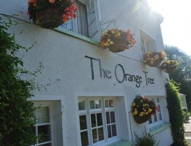 The Orange Tree