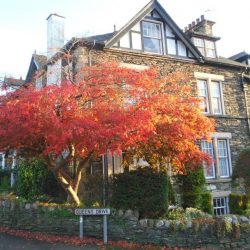 Kirkwood Guest House
